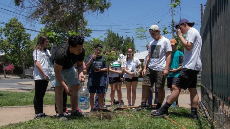 Alumnos Del Instituto Ohiggins Realizan Plantaci N De Rboles En